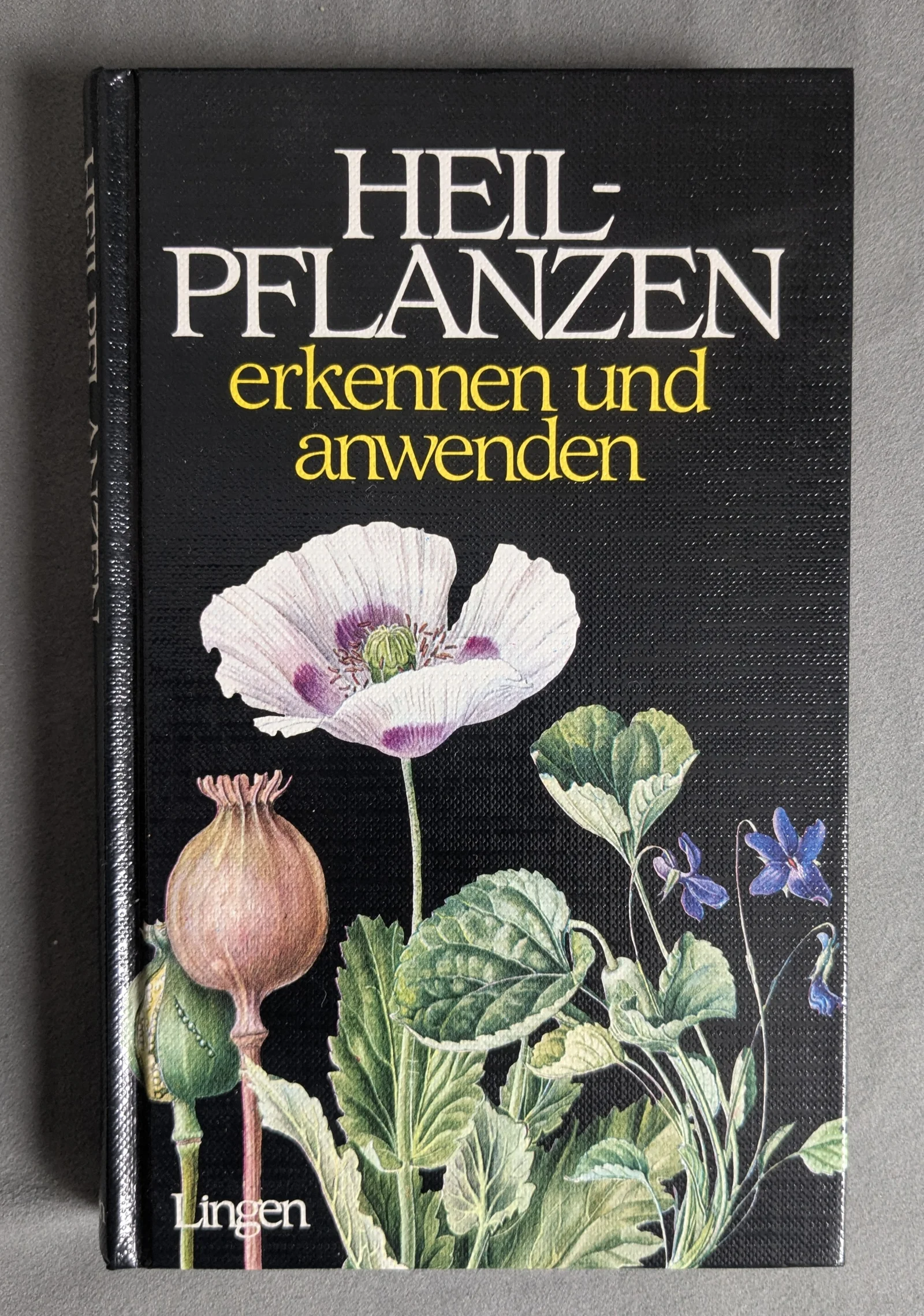 HEILPFLANZEN erkennen und anwenden