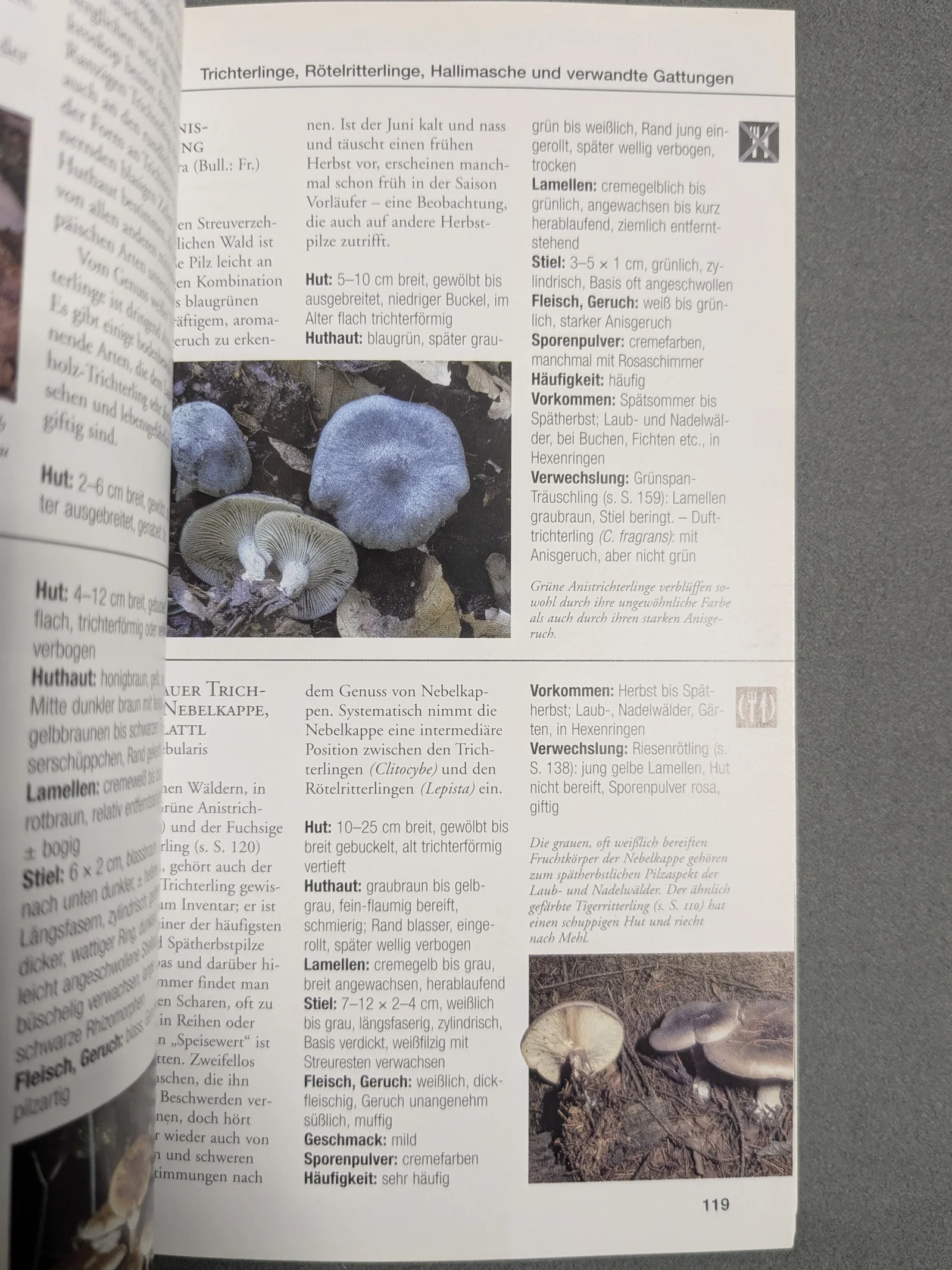 Pilze Bestimmen und Sammeln Pilzführer Bestimmungsbuch Naturführer Taschenbuch